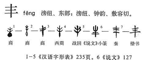 丰字五行